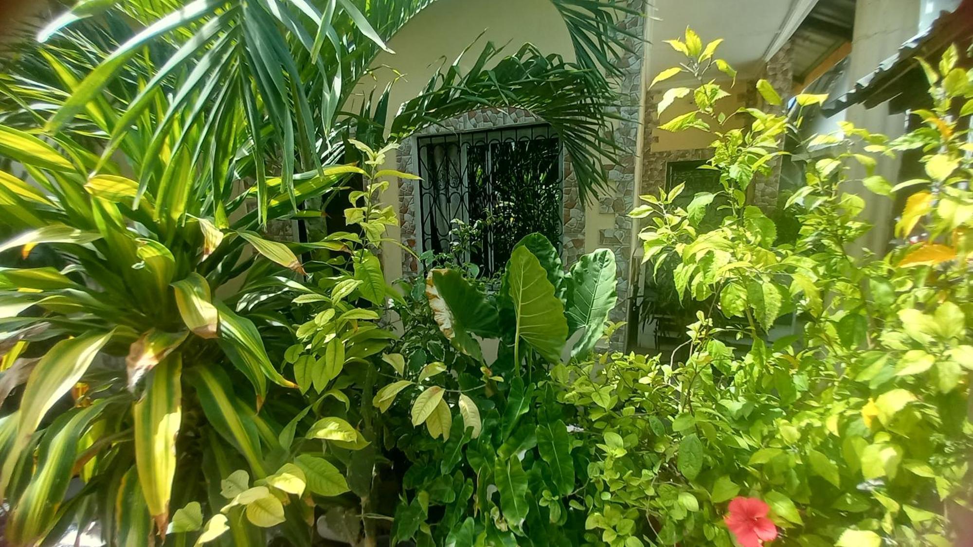 מומבסה Mount Zion Guest House, Mtwapa Mtomondoni מראה חיצוני תמונה