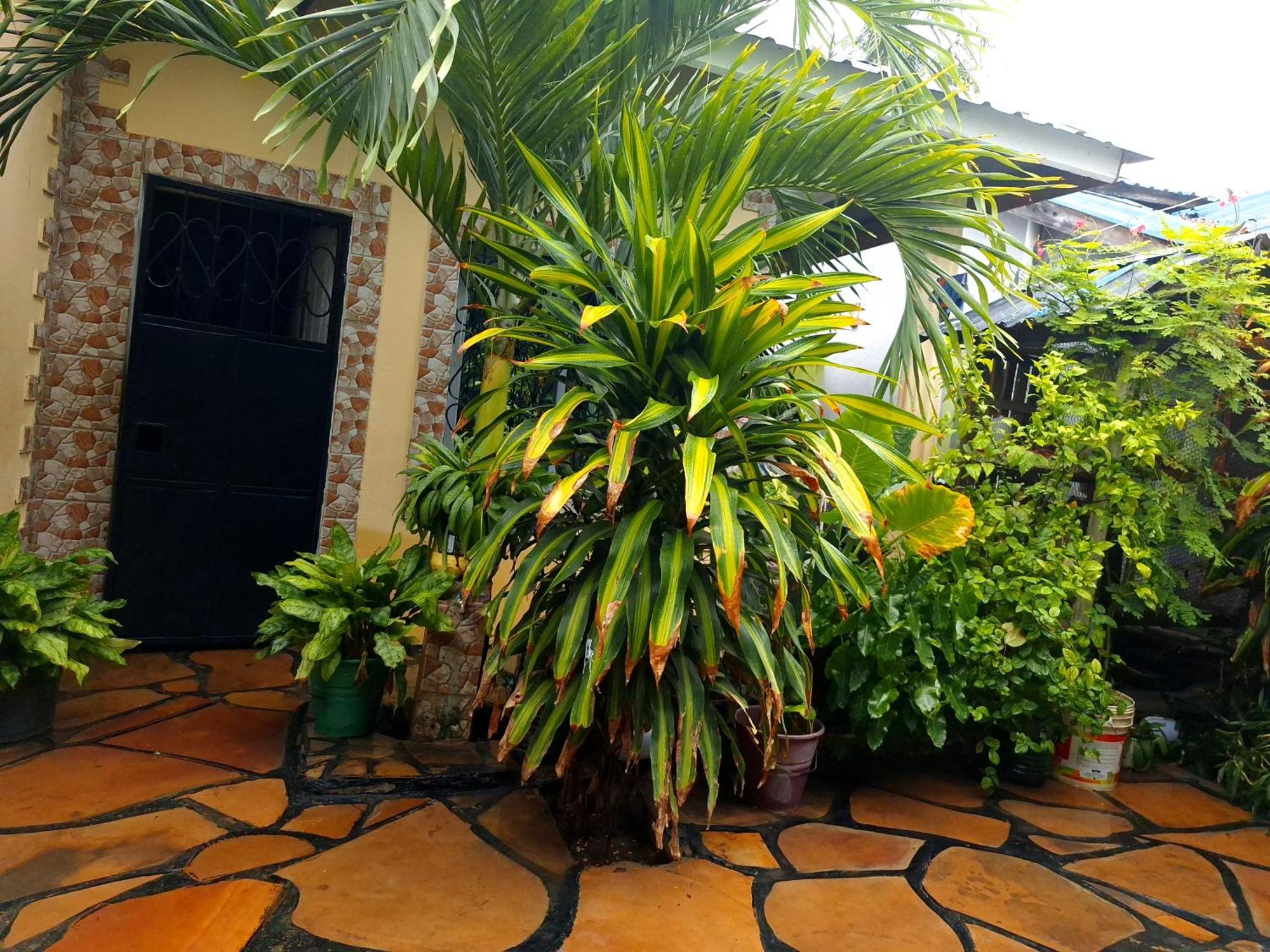 מומבסה Mount Zion Guest House, Mtwapa Mtomondoni מראה חיצוני תמונה